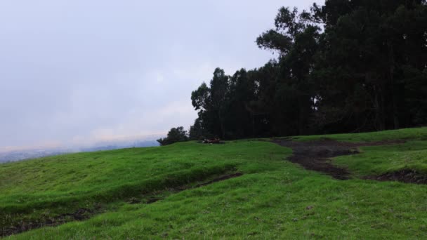 Batı Maui Hawaii Polipoli Spring State Recreationa Area Yürüyüş Kamp — Stok video