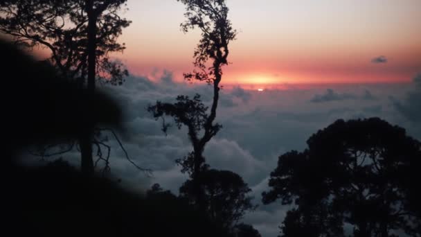 Солнце Садится Горном Лесу Над Облаками Оахаке Мексика — стоковое видео