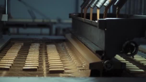 Gofret Bisküvi Pasta Fabrikasındaki Tatlılar Gıda Fabrikasında Üretim Süreci Süt — Stok video