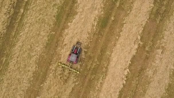 Vue Aérienne Tracteur Tedding Fauché Foin Avec Râteaux Sur Terrain — Video