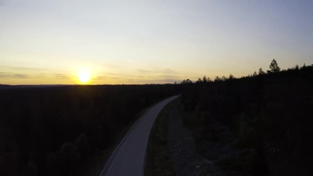 Lege Weg Midden Het Bos Bij Zonsopgang — Stockvideo