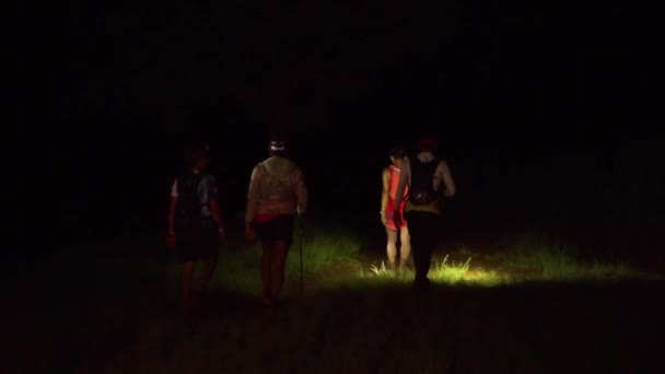 Personnes Trail Coureurs Pendant Une Course Nuit — Video