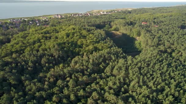 Hava Taşımacılığı Yaz Boyunca Polonya Orman Manzarası Vistula Gölü Vurdu — Stok video