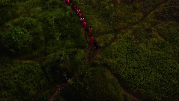 Drone Shot Personnes Marchant Vers Forêt — Video