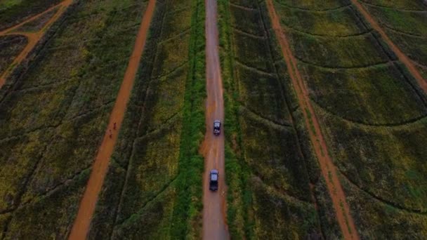 Tiro Aéreo Caminhões Campo Plantação — Vídeo de Stock