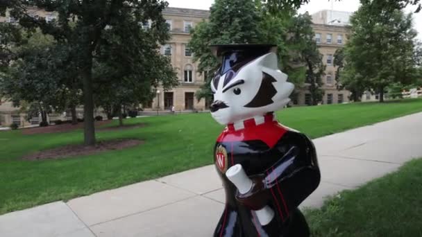 Estátua Badger Bucky Segurando Diploma Campus Universidade Wisconsin Madison Wisconsin — Vídeo de Stock