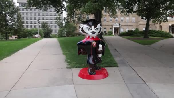 Статуя Маскота Бакі Беджера Проводить Диплом Кампусі Університету Вісконсина Медісоні — стокове відео