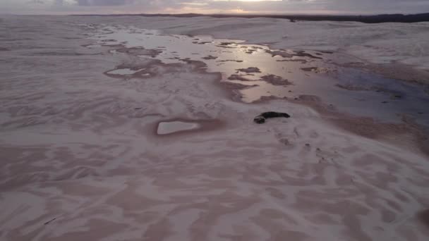 ニューサウスウェールズ州の日の出にストックトン砂丘で淡水ラグーン オーストラリア — ストック動画