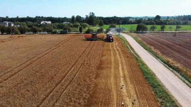 Aerial Shot Combine Loading Corn Grains Tractor Trailer Máquinas Agrícolas — Vídeo de stock