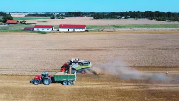 空中拍摄联合加载谷物进入牵引拖车 收割期间农业机械在农田里工作 耕作的概念 顶部视图 — 图库视频影像