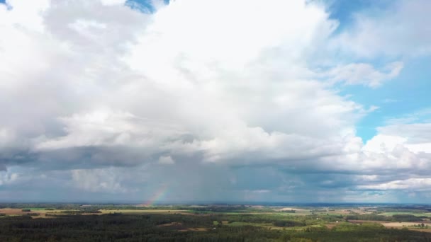 Rainbow Crop Field Blooming Wheat Spring Aerial View Heavy Clouds — стокове відео