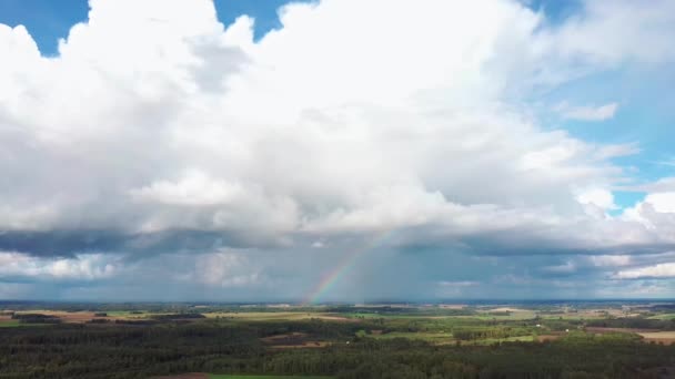 Rainbow Crop Field Blooming Wheat Spring Aerial View Heavy Clouds — Vídeo de stock
