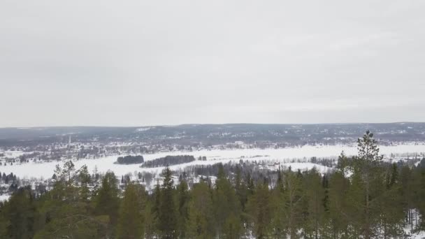 从芬兰拉普兰Rovaniemi的Ounasvaara山拍摄冬季电影 无人机镜头向后移动非常靠近树梢 — 图库视频影像