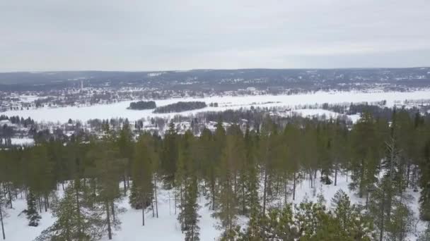 Vistas Invierno Desde Colina Ounasvaara Rovaniemi Drone Volando Hacia Atrás — Vídeos de Stock