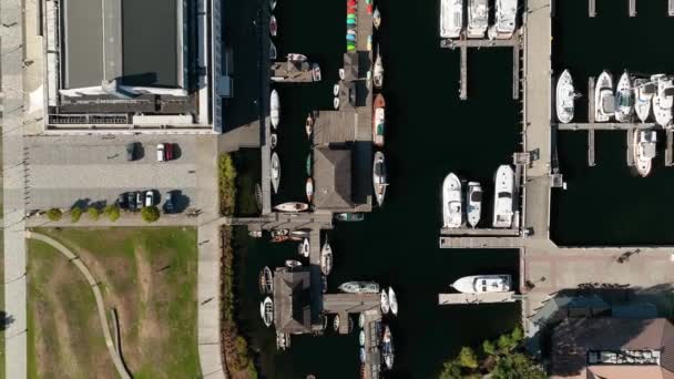 Rising Drone Shot Center Wooden Boats Bairro South Lake Union — Vídeo de Stock