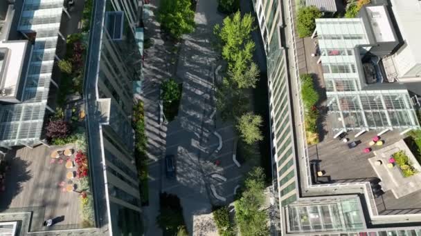 Overhead Drone Shot Meta Facebook Headquarters Seattle Warm Summer Day — Stock Video