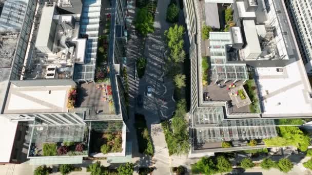 Foto Aérea Pasando Por Nuevo Edificio Sede Meta Seattle Washington — Vídeos de Stock