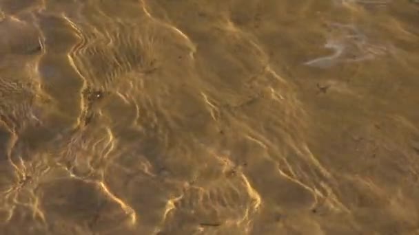 Rzeki Łososia Małym Strumieniem Człowiek Stworzył Rzekę Dla Ryb Rozmnażania — Wideo stockowe