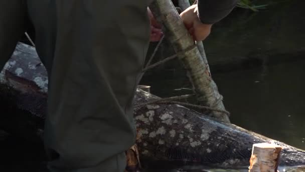 Rzeki Łososia Małym Strumieniem Człowiek Stworzył Rzekę Dla Ryb Rozmnażania — Wideo stockowe