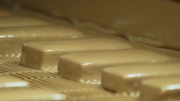 Desserter Transportband Wafer Kex Kakfabrik Produktionsprocess Livsmedelsfabrik Produktionslinje Bearbetningsanläggning För — Stockvideo