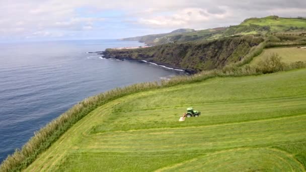 Tractor Cutting Grass Coastal Countryside Azores Aerial View — Stock Video