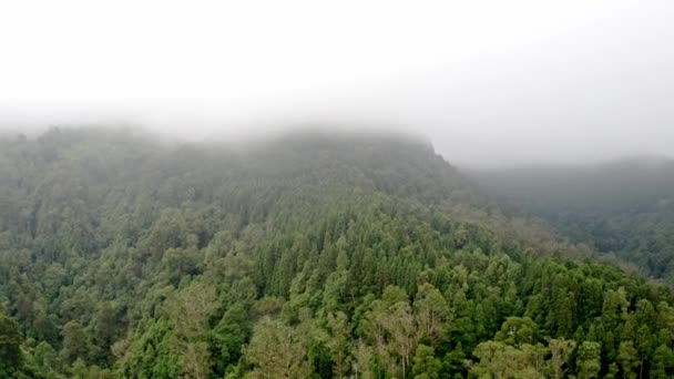 アゾレス諸島の緑豊かな山の森 空中パノラマを覆う蒸気雲 — ストック動画