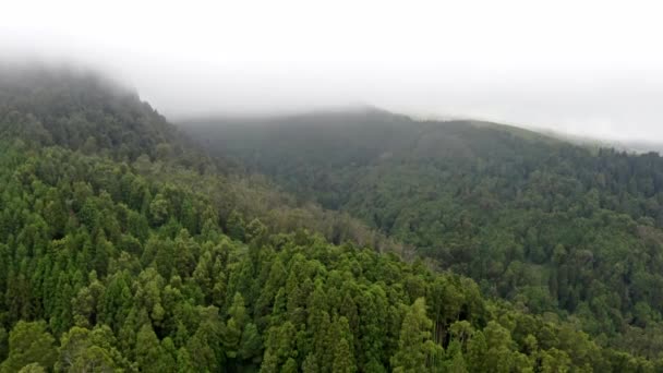 Mist Evaporating Lush Mountain Forest Azores Aerial View — Stock Video