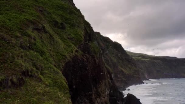 Drohnenaufnahmen Einer Schar Von Seevögeln Die Unter Felsigen Meeresklippen Fliegen — Stockvideo