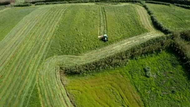 Traktor Sklízí Zelené Pole Venkově Azorských Ostrovů Letecký Pohled — Stock video