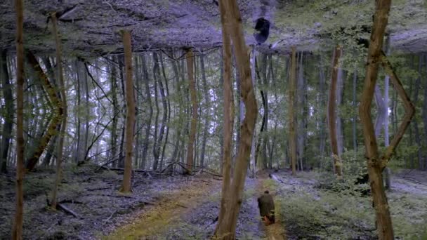 Ponury Żniwiarz Biegnący Udręczonym Lesie Odwróconym Odbiciem Szeroka — Wideo stockowe