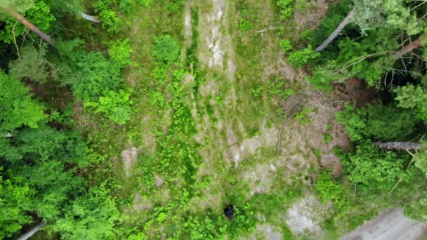 鬱蒼とした森を歩く黒いフード付きの岬の男 グリム リーパー 空中射撃 — ストック動画