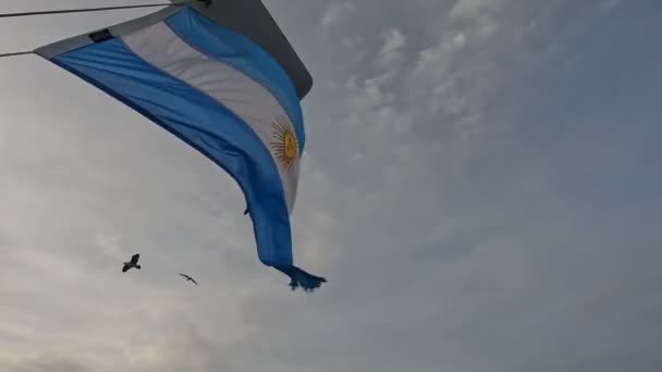 Arjantin Bayrağı Rüzgarda Dalgalanıyor Etrafında Deniz Kuşları Uçuşuyor Bayrak Merkezinde — Stok video