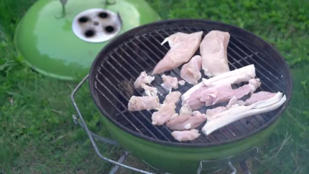 Barriga Porco Filé Peito Frango Grelhado Sobre Fogo Carvão Grelhador — Vídeo de Stock