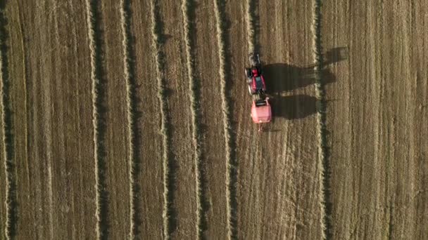 Tractor Recolhe Feno Seco Longas Sombras Top Drone Dolly Shot — Vídeo de Stock