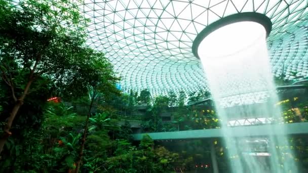 Bäume Und Wasserfall Singapur Auf Dem Flughafen Changi Moderner Indoorgarten — Stockvideo