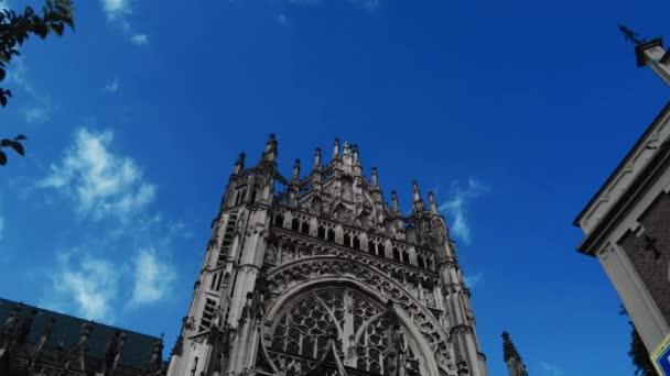 Lage Hoek Dolly Richting Toren Gevel Van Gotische Kathedraal Hertogenbosch — Stockvideo