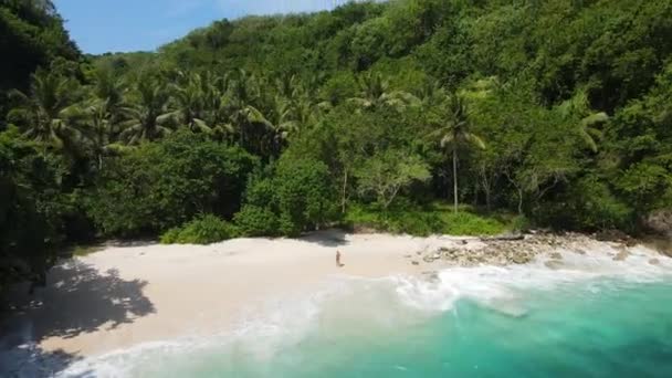 Młoda Atrakcyjna Blondynka Bikini Tropikalnej Plaży — Wideo stockowe