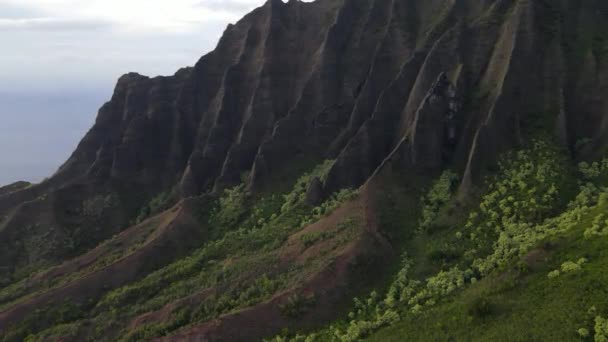 Panorama View Kokee State Park Kalalau Valley Ridges Cliffs Pali — Stock Video