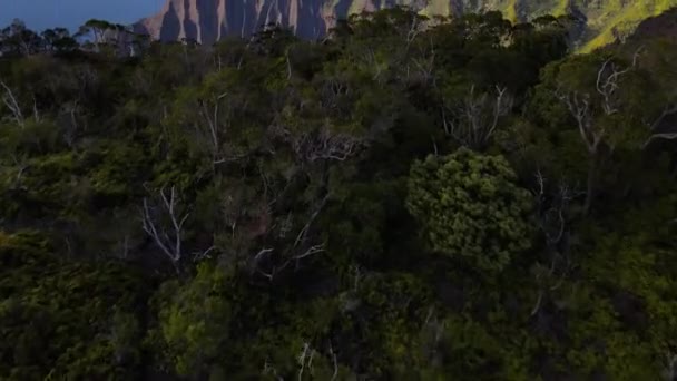カララウ渓谷のコキー州立公園への木々の上を飛ぶと ナパリ海岸 カウアイ島の尾根崖 — ストック動画