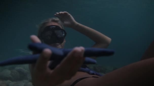 女性の手の水中で1つの青い海の星を保持する リンキア ラエビータ ヒトデ — ストック動画