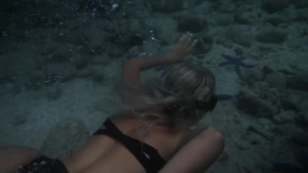 Sexy Woman Swimming Underwater Putting Blue Sea Star Her Butt — Stock Video