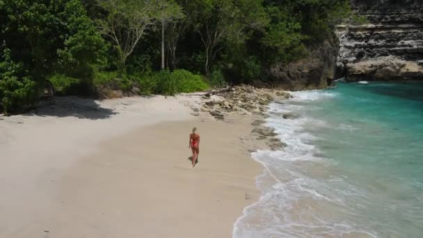Kırmızı Bikinili Sarışın Kız Bali Kumlu Bir Sahilde Yürüyor — Stok video