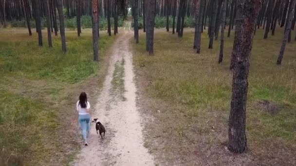 Vue Ariale Femme Son Chien Courant Dans Les Bois Suivant — Video