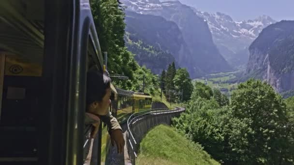 Alp Dağları Vadisi Nde Pencereden Bakan Bir Adamla Manzaralı Tren — Stok video