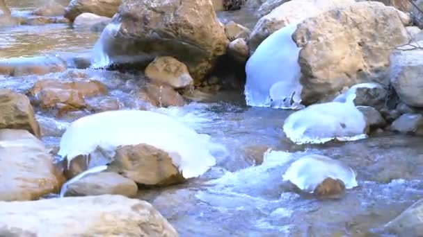 Buzlu Kayalarla Dolu Soğuk Bir Dağ Deresi — Stok video