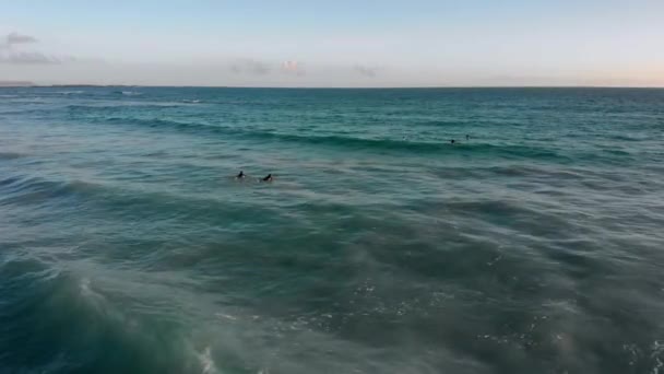 Drone Shot Surfers Resting Board Galapagos Islands — Stock Video