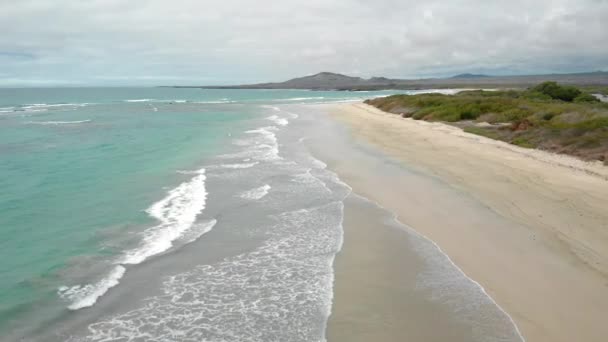 Вид Воздуха Пляж Галапагосских Островах — стоковое видео