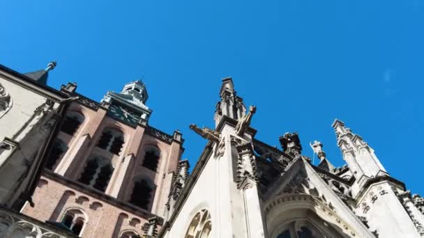 Felfelé Tekintve Gótikus Sint Jans Katedrális Harangtornyára Alföldeken — Stock videók