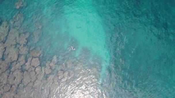 岩の多い岩礁の旅の休暇を通してサーファーパドルのドローンの空中パンショット インド洋メンタワイ諸島スマトラ島アジア4K — ストック動画