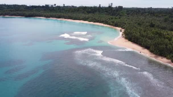 Drone Antenn Skott Palmer Och Klart Hav Rev Semestermål Surfing — Stockvideo